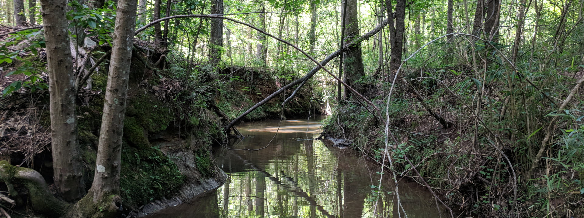 Creek on Rooster Ranch